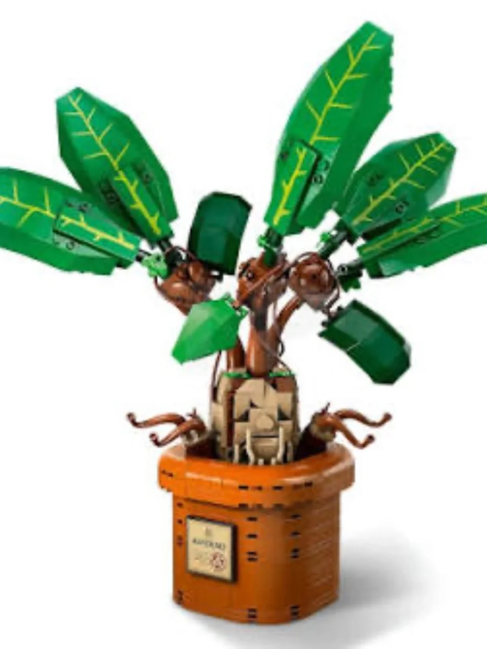 Harry Potter Mandrake